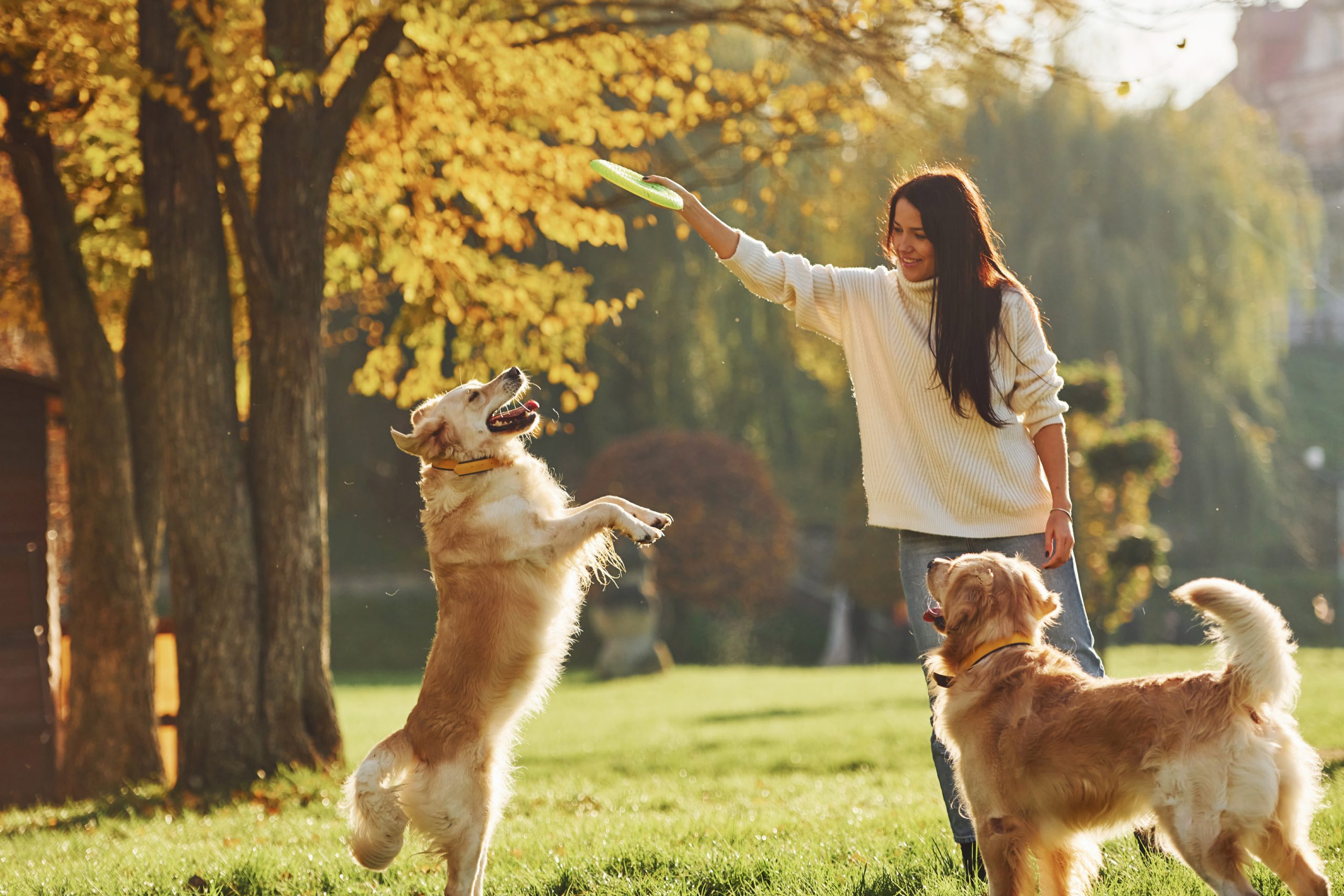 portare fuori il cane e giocare con il frisbee